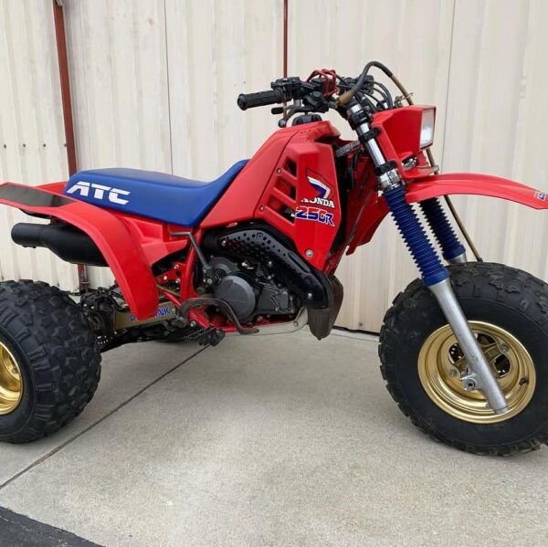 1986 atc250r - Image 4