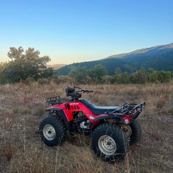 1986 Honda TRX350 4x4 Foreman - Image 5