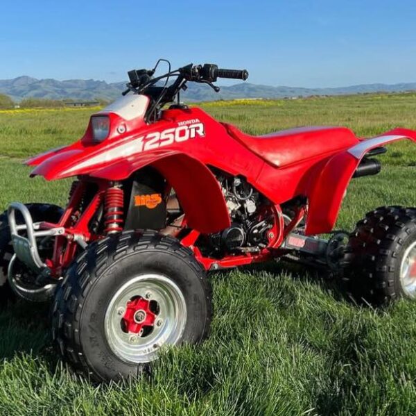 1988 Honda IRX250r Fourtrax - Image 7